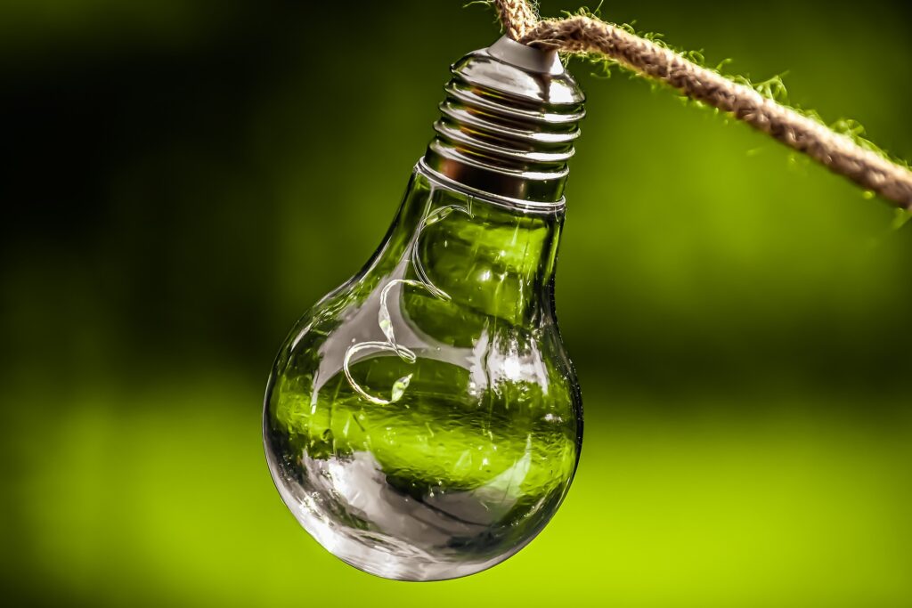 30 Ideas de Negocio para Emprendedores Ecológicos