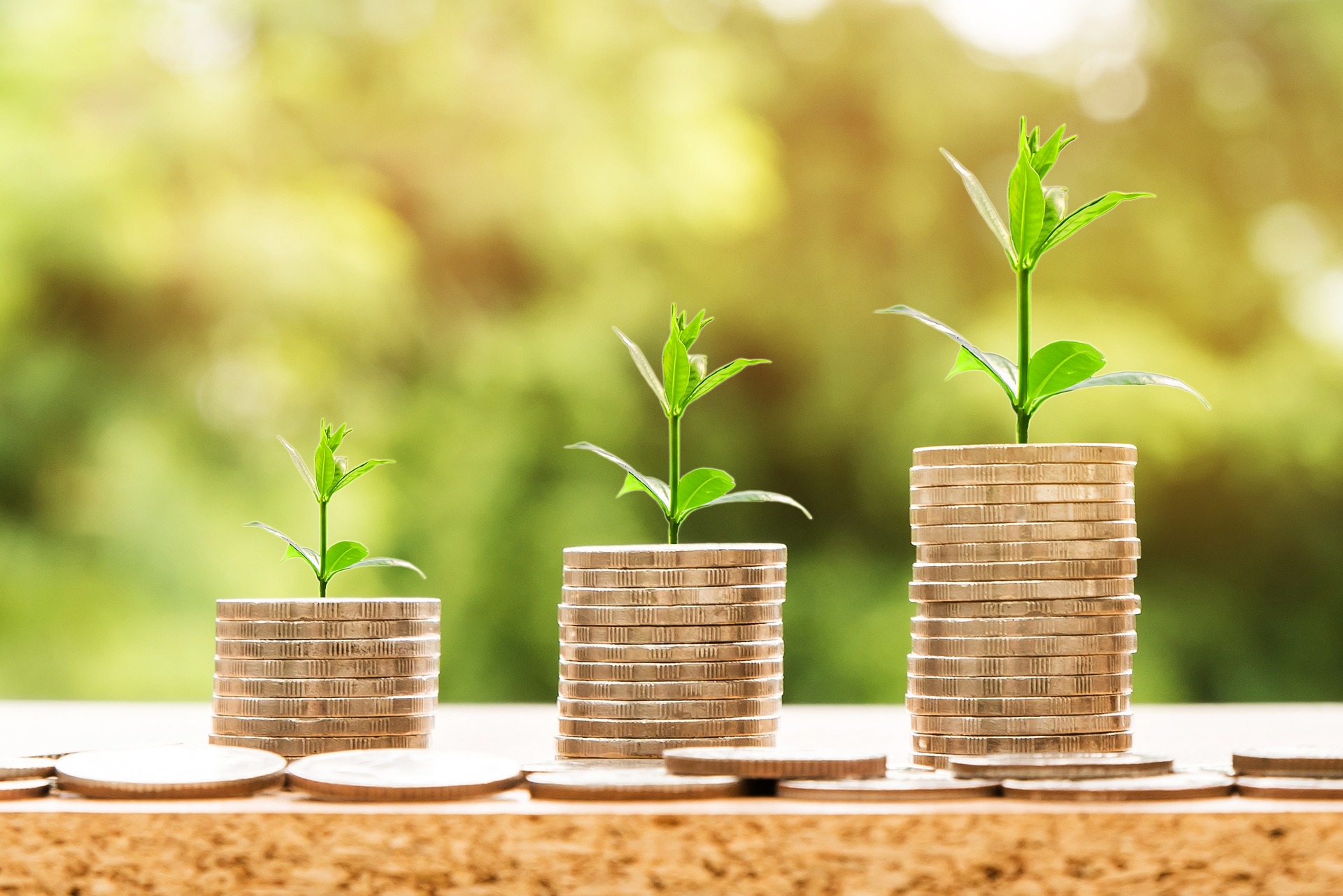Empower Your Business with Sustainability-Linked Loans