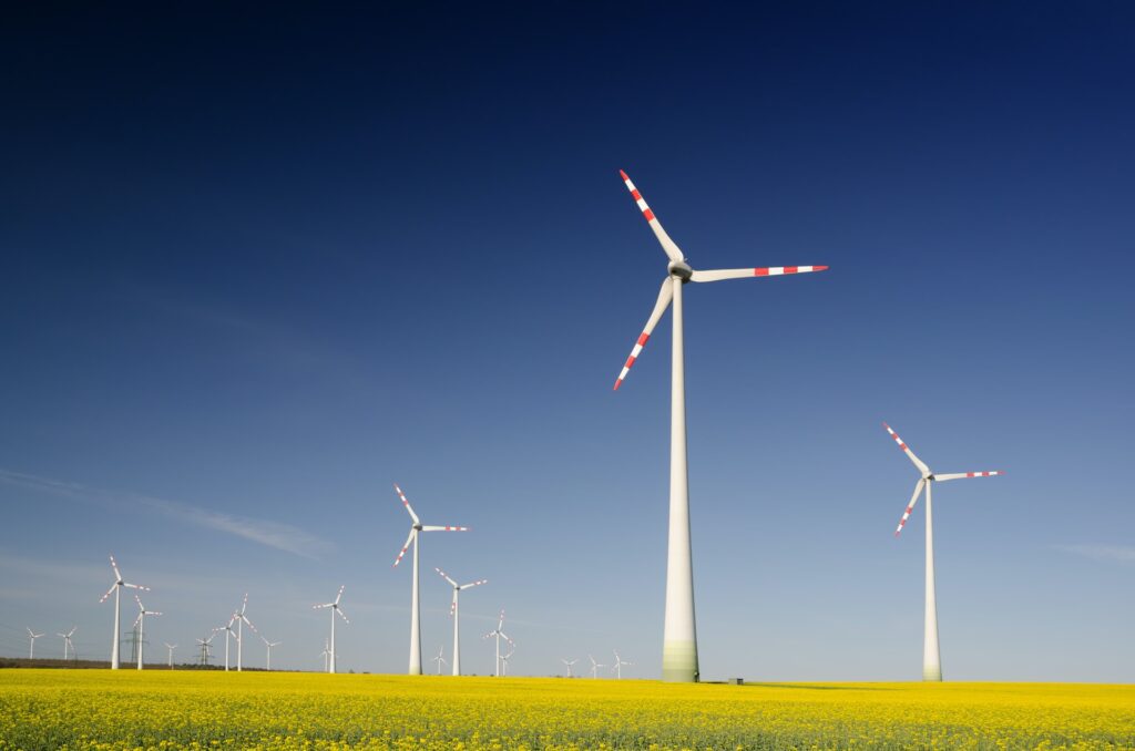 Negocio de Energía Eólica para el Desarrollo Sostenible