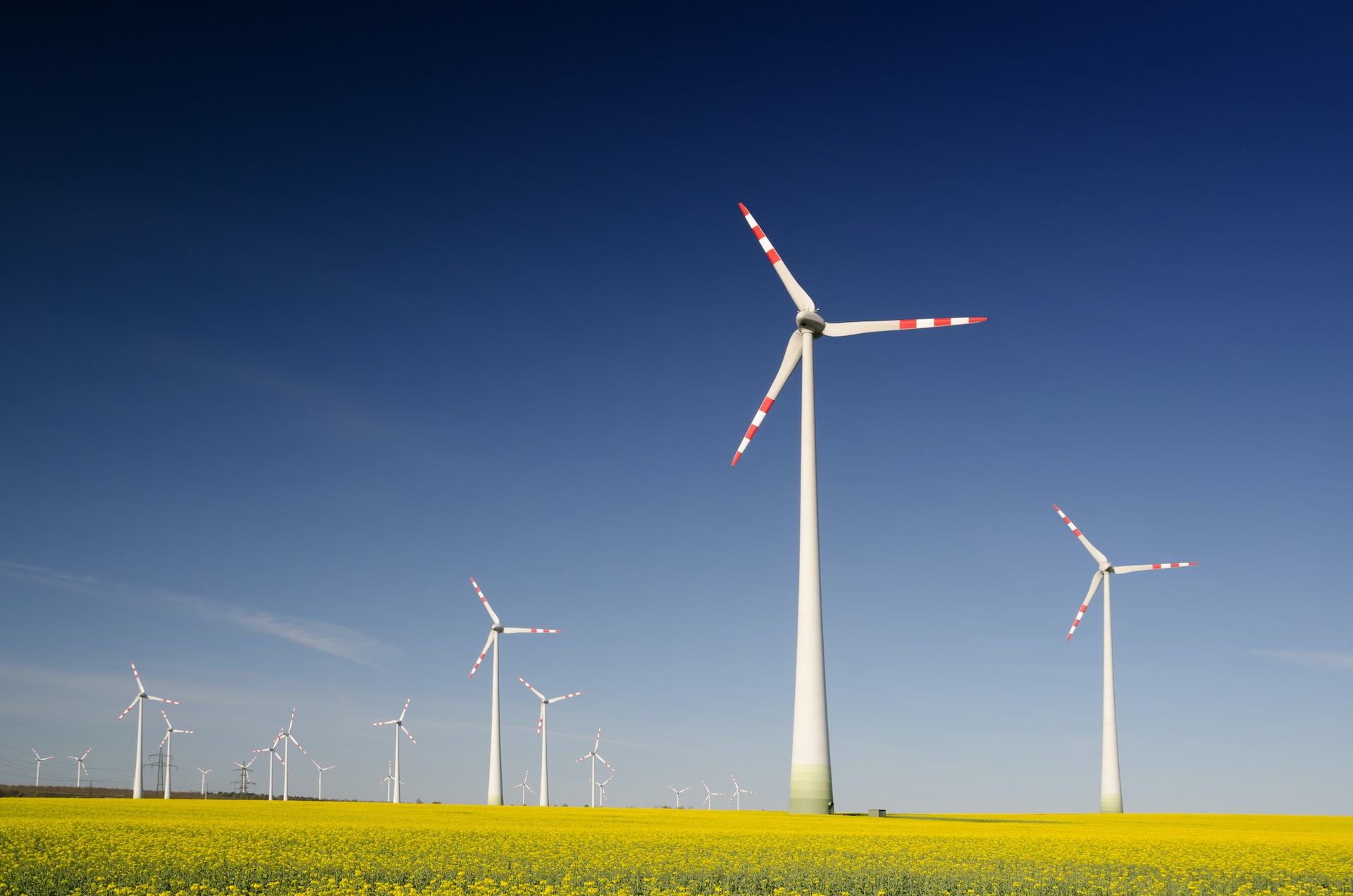 wind-energy-business-for-sustainable-development