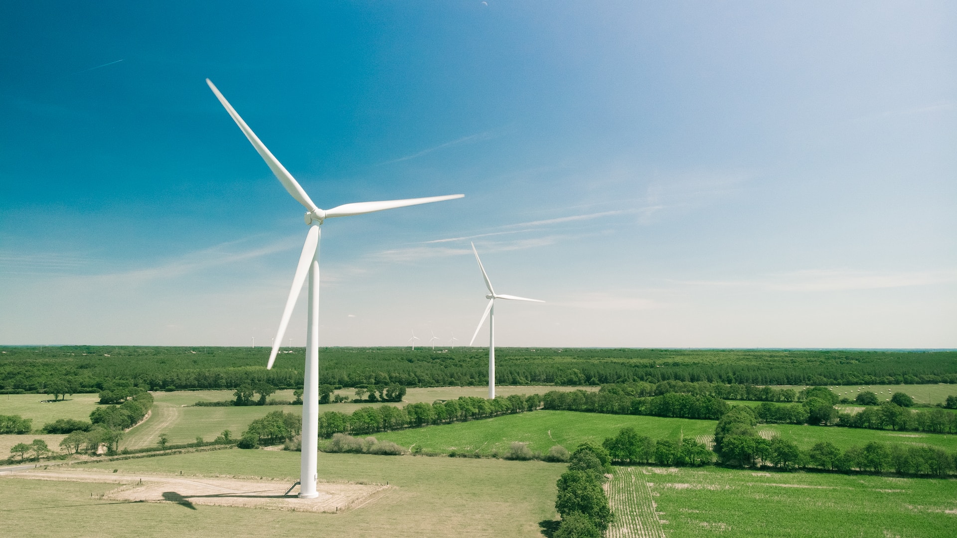 Wind Energy Business for Sustainable Development